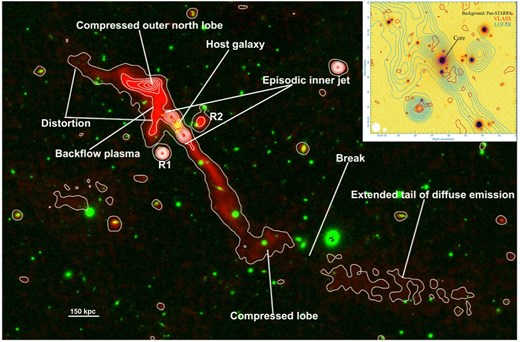Primordial Giants: Deciphering the Gas-Driven Growth of Early Supermassive Black Holes